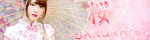 桜 ～SAKURA～