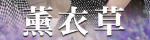薫衣草 ～ラベンダー～