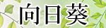向日葵