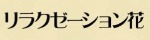 リラクゼーション花