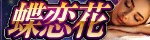 蝶恋花～ちょうれんか