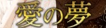 愛の夢～あいのゆめ