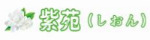 紫苑