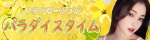 パラダイスタイム