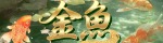 金魚～キンギョ～