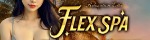 FLEX SPA