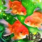 金魚～キンギョ～